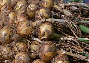 明朗会計なので安心して来店できます