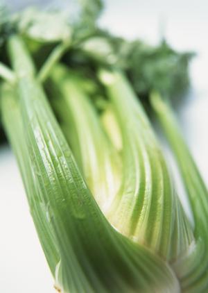 歌舞伎町のホストクラブが行う求人募集