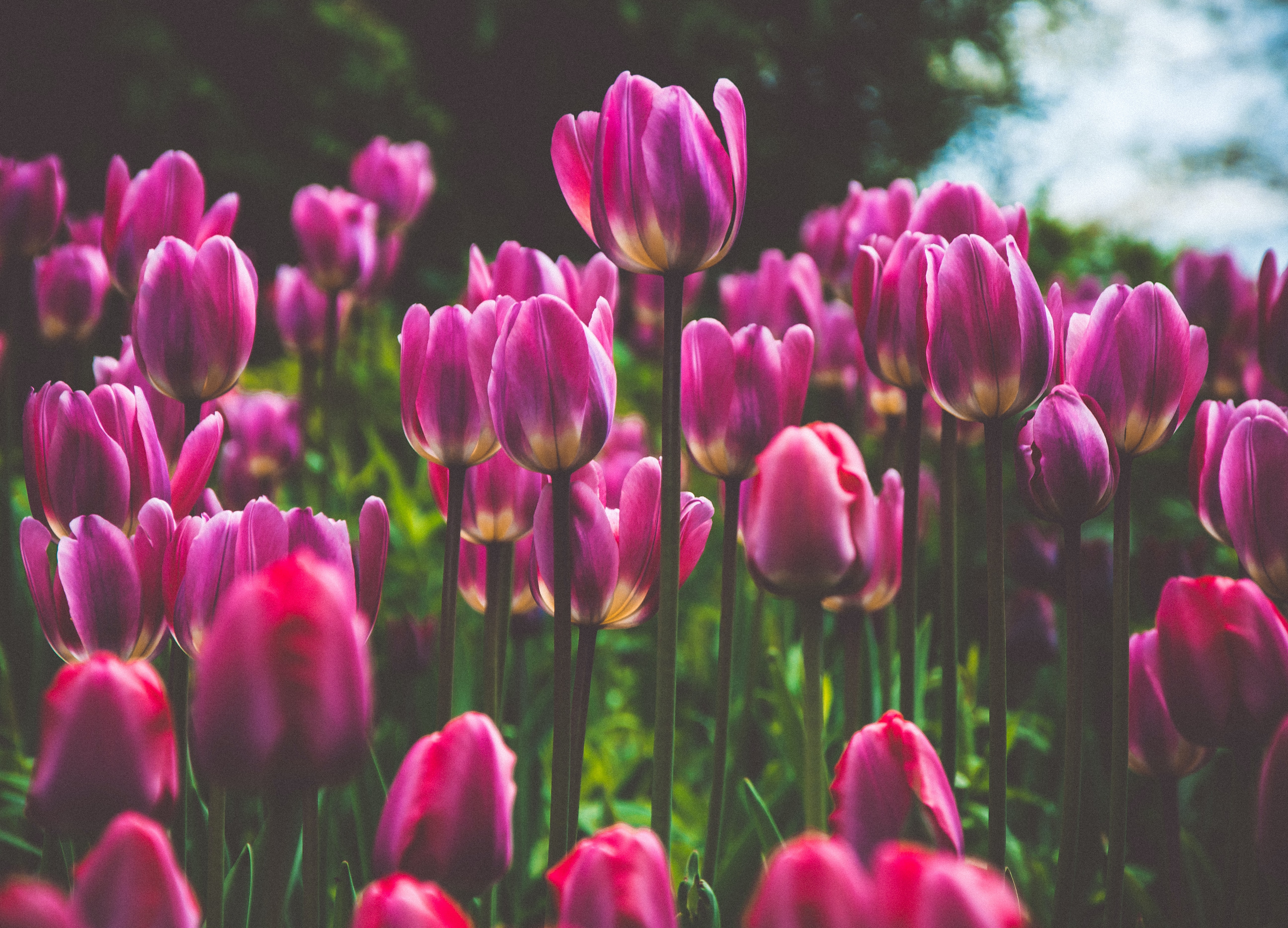 イチオシの高収入在宅について